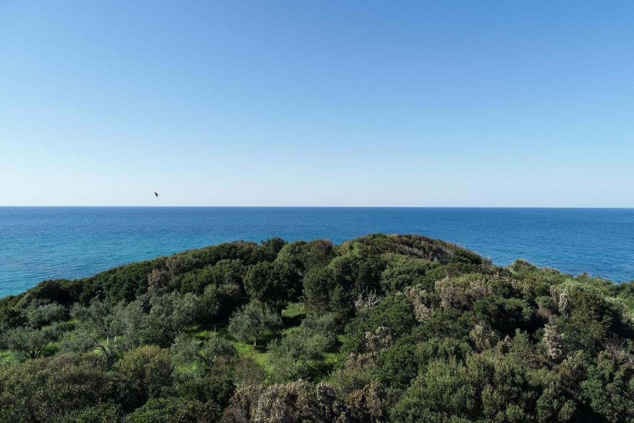 Villa Alonaki Bay Χαλικούνας Εξωτερικό φωτογραφία